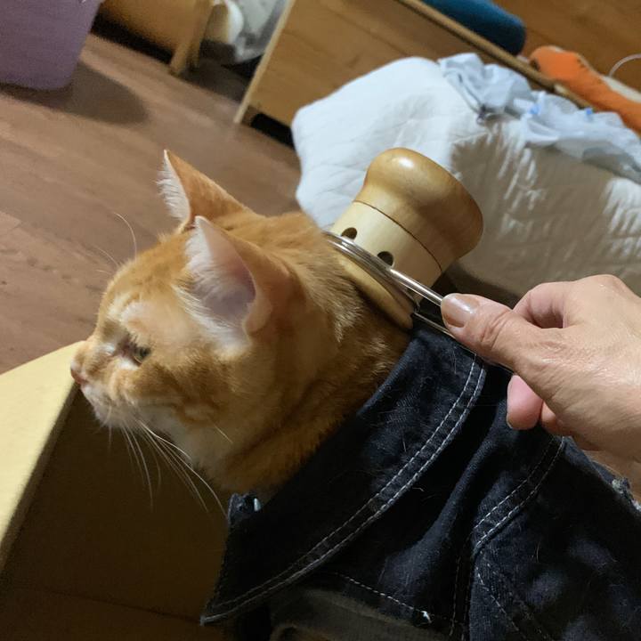 E71926be efc9 4505 8ca7 a8e66c3cf593 1652535356402