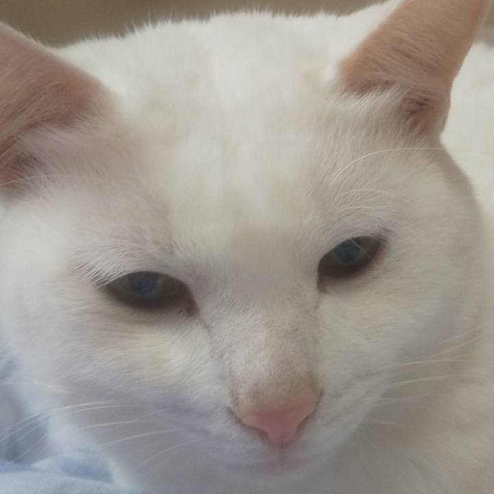 E7193bac ba06 4797 a3ee 1677c9be1cf6 1738209409106