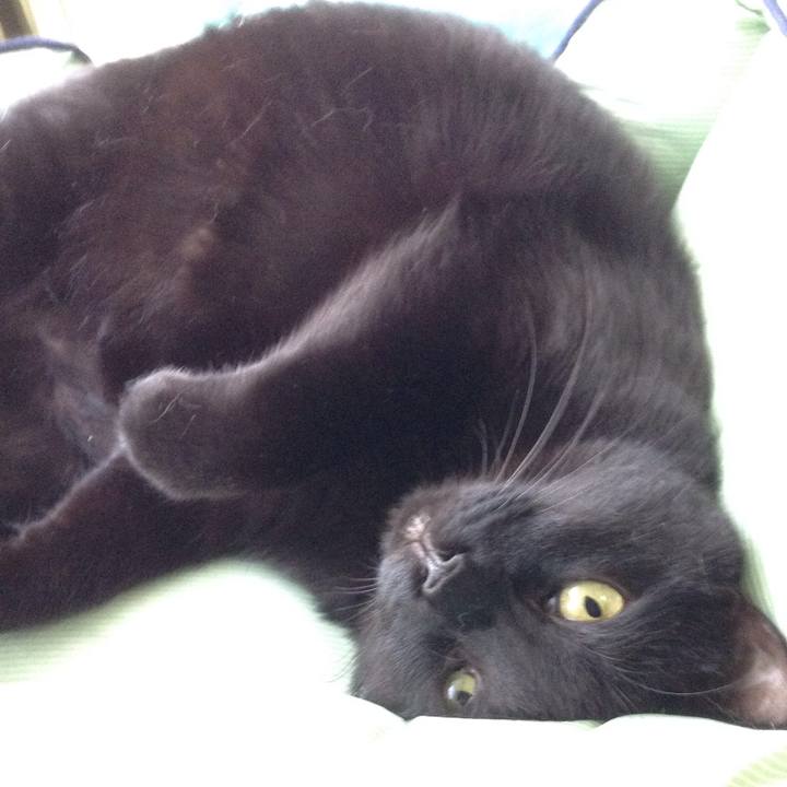 E7195bdc 6f75 46c3 9f62 40d3fdbb2623 1526114602248