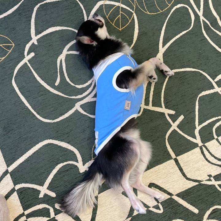 E71963df 6cd9 4a2d 9479 7a8b8e628776 1647059169477