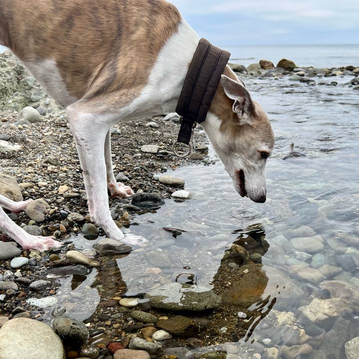 E71974bc 1204 413a 9c87 fed16f1037af 1760171193660