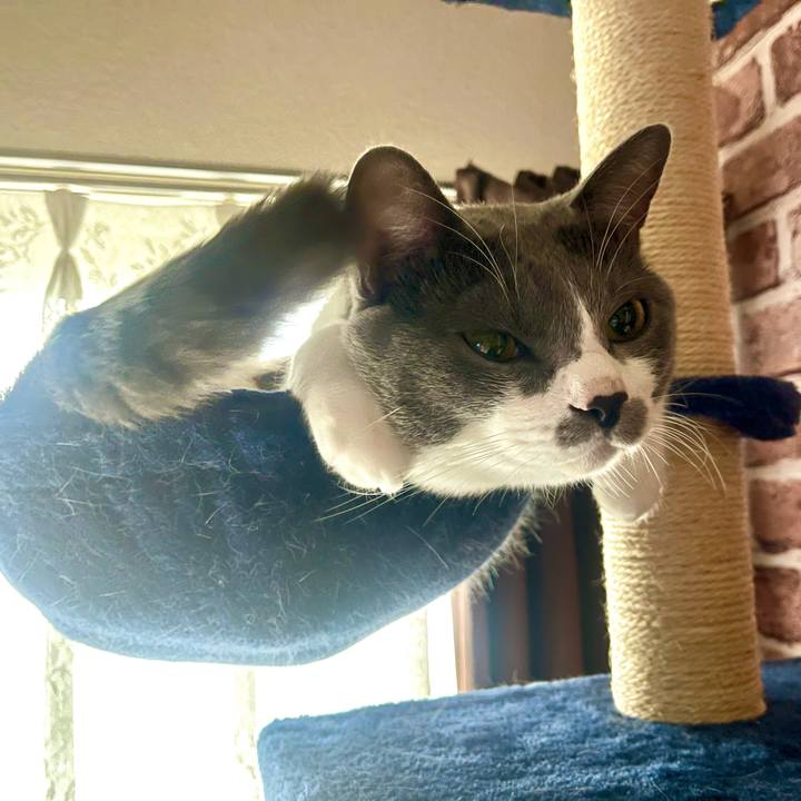 E71975bb 9771 452f aa9f af1ae4aa739b 1638746844677