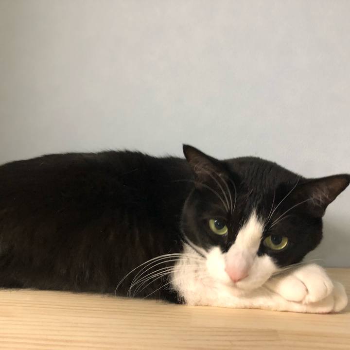 E719853c 96ca 4d6d 8ceb f8e0e7b49139 1552880334501