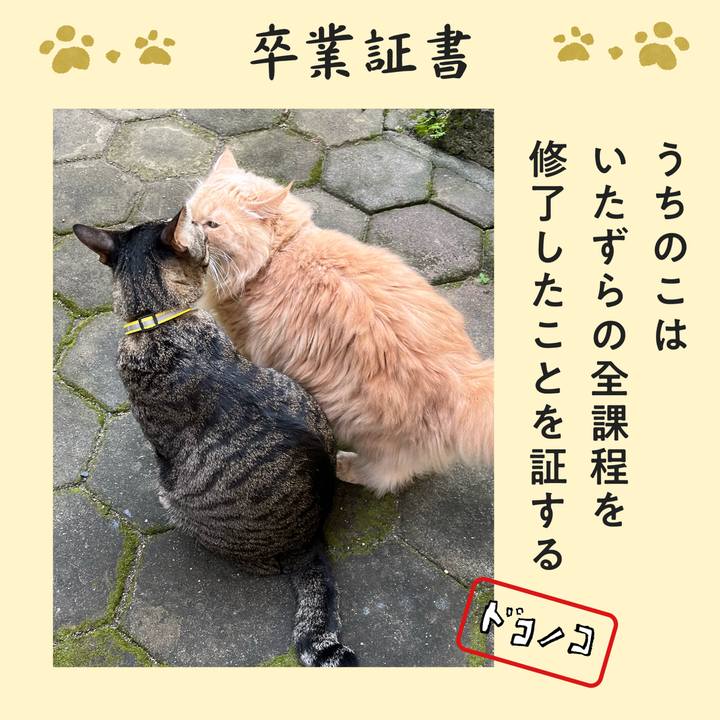 E719aec7 a12c 4342 8117 146bc4d24918 1771897856523