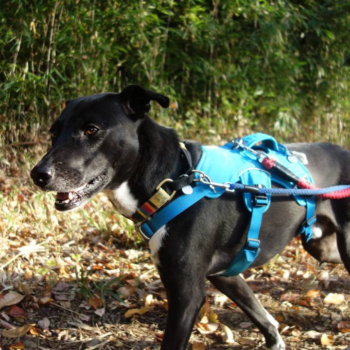 E719cb7d e4b3 4b56 b769 f543a8f03e2f 1606003266508