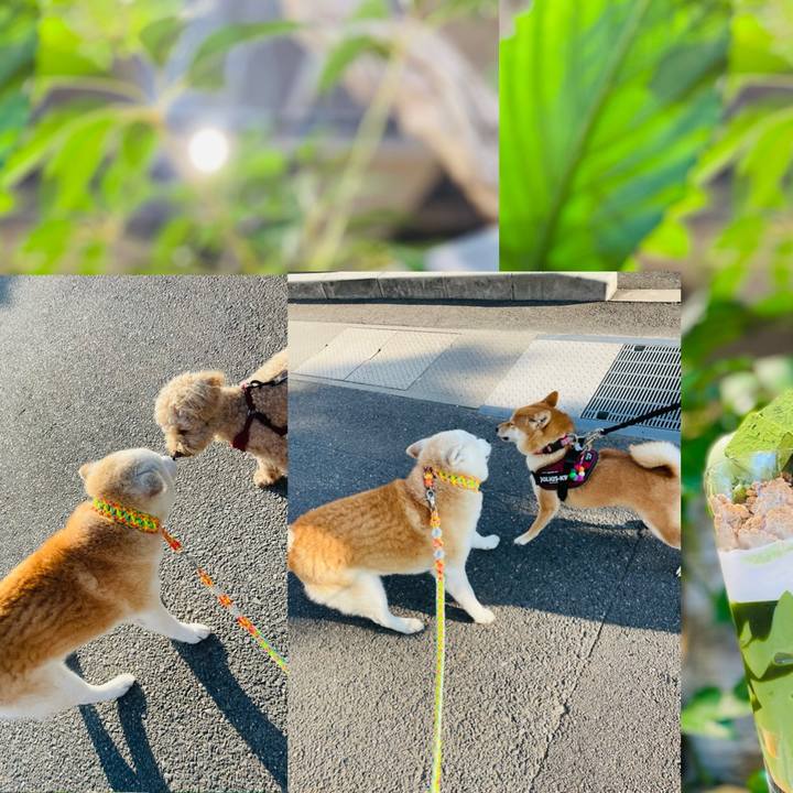 E719e5fd 2583 464f b786 bf58d0dfc3b8 1657328733868