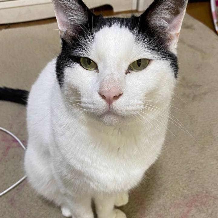 E719f6d7 12ac 499e be5e e1dc2a33dc0d 1695810089687