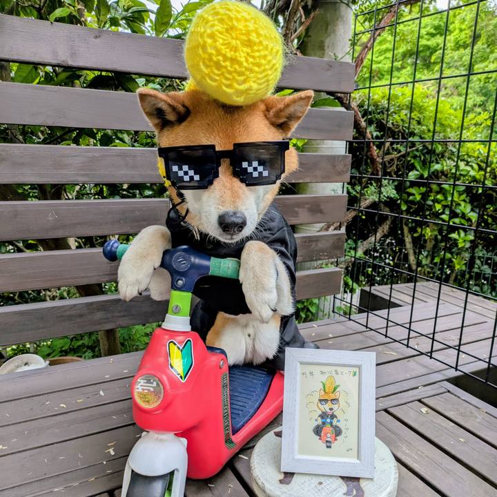 E719faf7 d22c 4cb6 a413 318e72232d3b 1747441816755