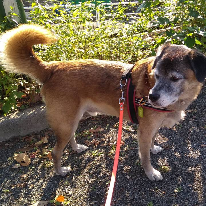 E71a0539 6256 44f0 844b 22a334604311 1573277681080