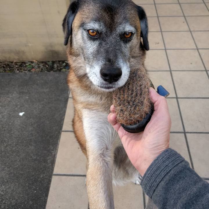 E71a4d52 21bc 4a23 a3e7 2511a1178c79 1700443418056