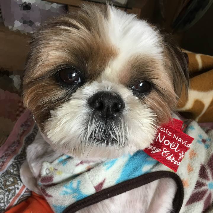 E71ab466 a445 41f7 b68f 5927bd491c36 1510362503905