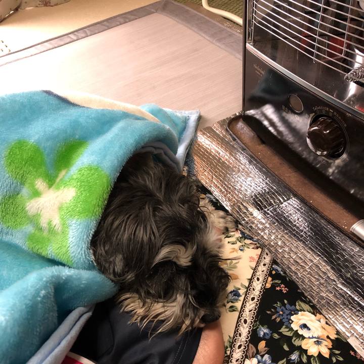 E71abfd8 5c58 490e b942 8afc56c5070f 1585444939492