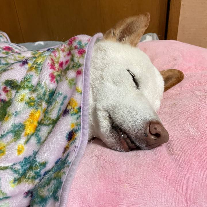 E71ac9fe 4875 41c8 b091 e0f6afdd2b36 1642421000544