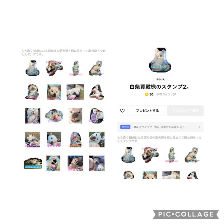 E71acb70 e01c 4743 841f 36f7d444baf6 1708684240361