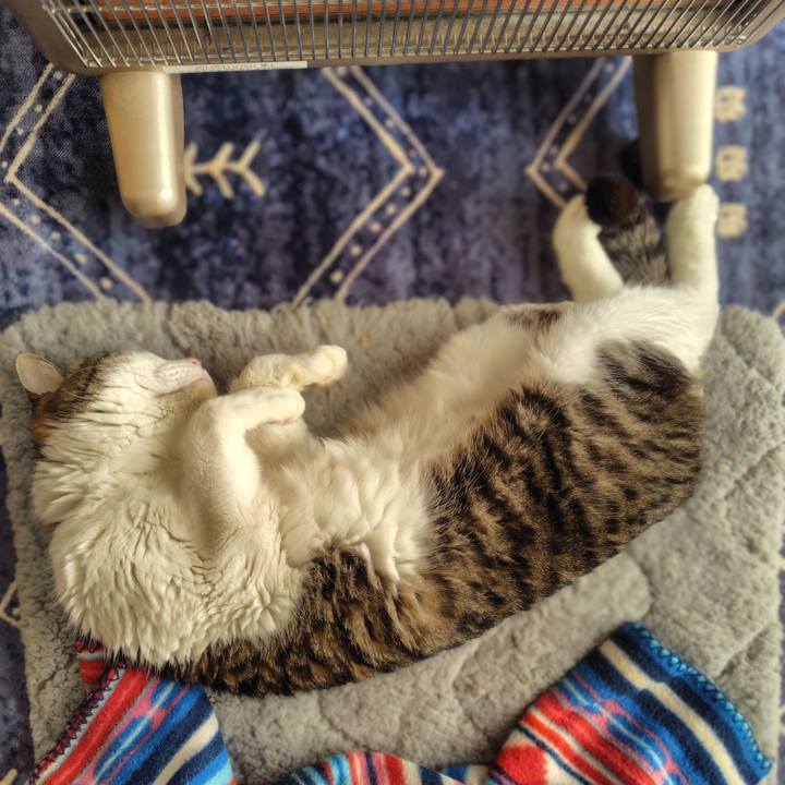 E71af3ac 5bb9 4657 866e 932ffe7294a1 1769144972729