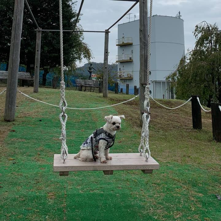 E71b00b7 2643 464c ae22 0fce65d815b2 1603106351870