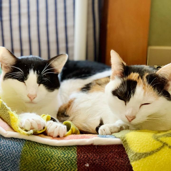 E71b0633 4a8b 41d0 95a5 d4ec32f2aa60 1542333859267