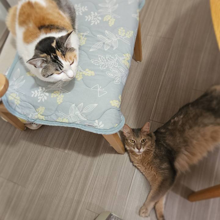 E71b28e3 e8ff 4718 b1ef 4bfe5568422b 1766068448092