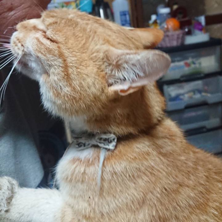 E71b2a29 5e67 4229 83ed 1c207b22a441 1590696910887