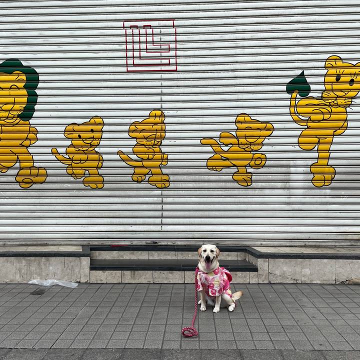 E71b5105 edea 4e02 a970 3ec8a5272332 1628584349224