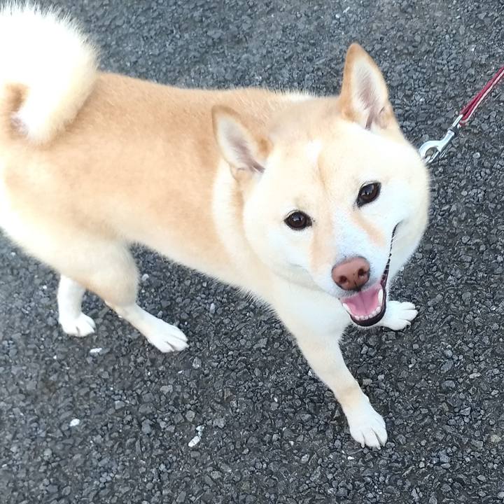 E71b6206 6bb3 4a4d 81e4 5d1ce032a5e0 1599773469155