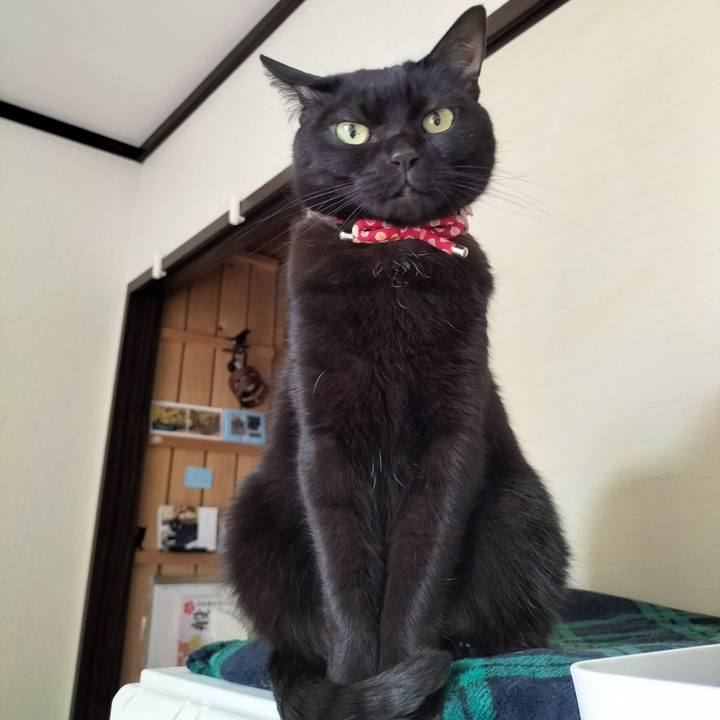 E71b768f ddde 4db1 9559 e8f322ea3565 1677973228872