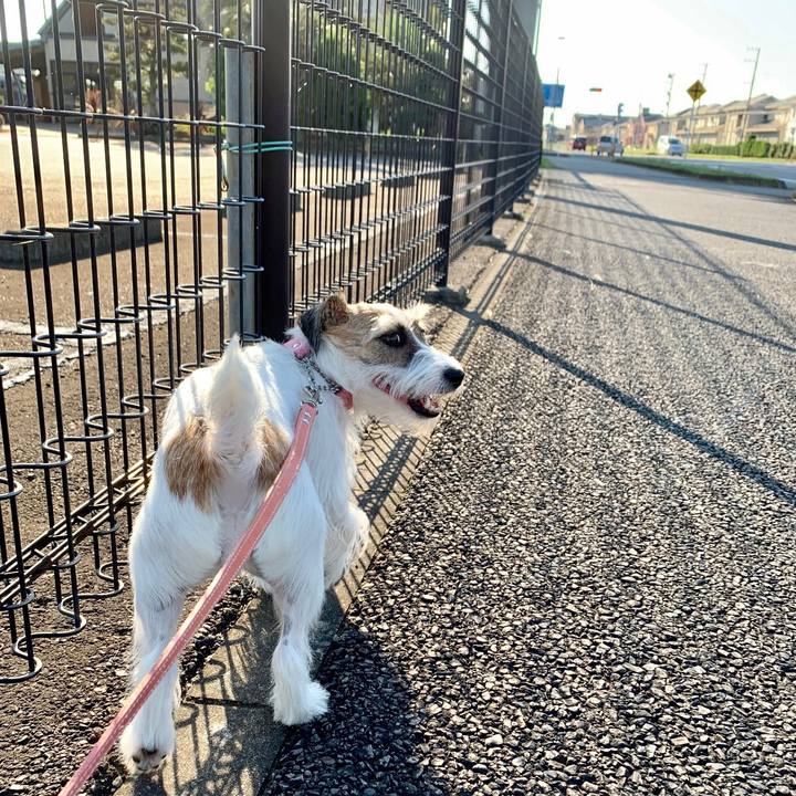 E71b8fe0 236b 4382 b983 0a8469b23c6e 1626930880342