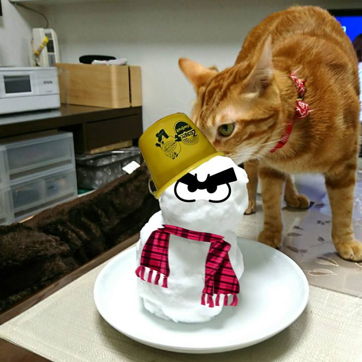 E71b9b5b 01f8 4bf2 93da cf98d5757321 1547383248892