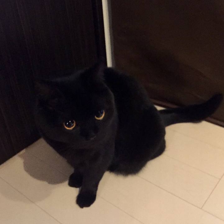 E71bced2 c935 4a84 82af e70d073e5eaf 1547982968702