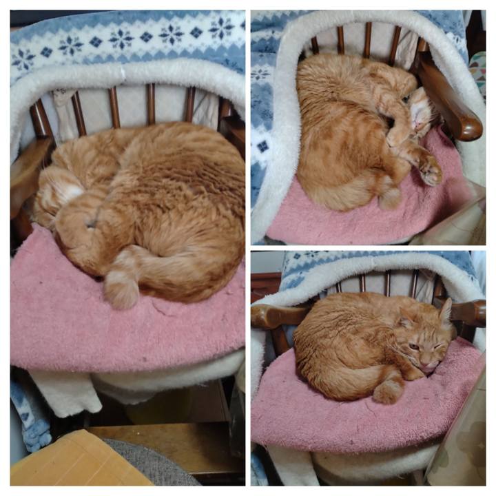 E71bdaea fe27 4a62 b4f3 cdd2515e2ccf 1675320113470