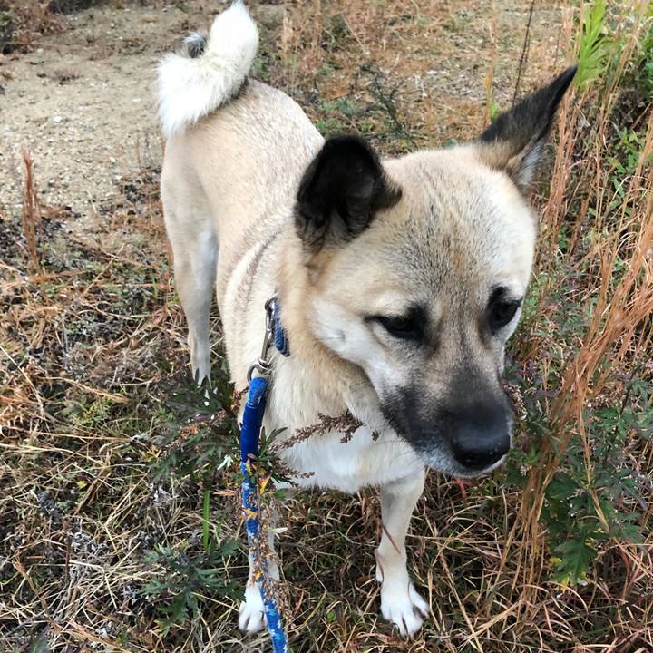 E71be5f5 fedc 420d 9c0c f3c9a74d1e59 1544097825237