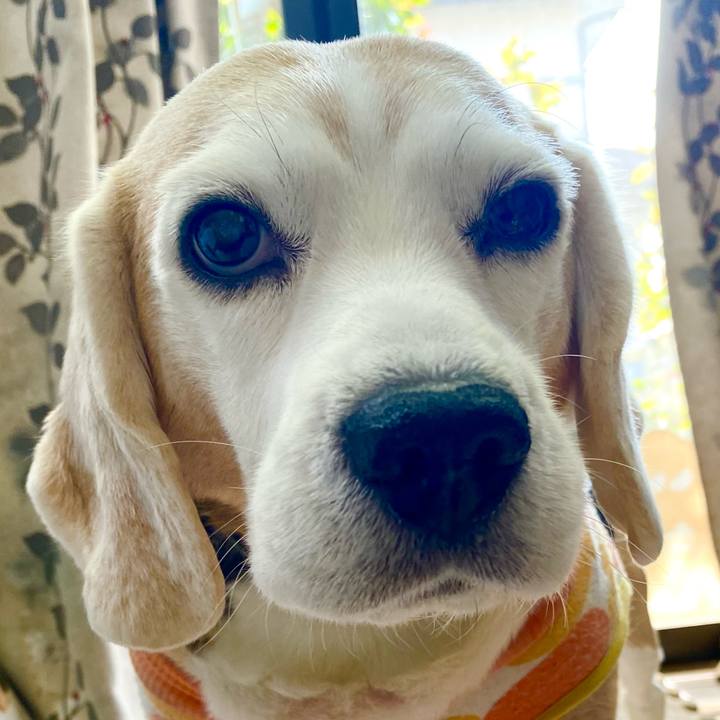 E71bfc8a 07ba 45be bcb0 feaf615b45fb 1644907007928