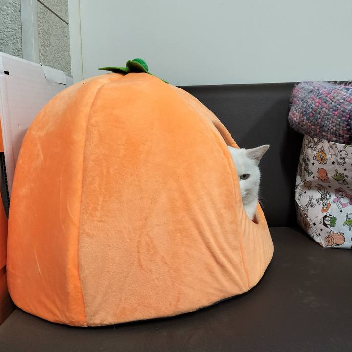 E71bfdad c9e6 407a ae43 0dc90f91d628 1765801236893