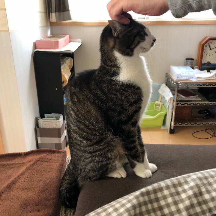 E71c12d9 039f 44a2 b41e f4a0077dd945 1515919865451