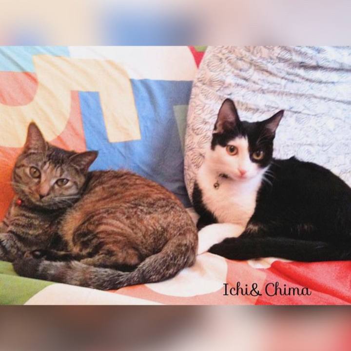 E71c1d7d c7a9 4642 9952 6dc4fdf0a4ac 1684465376180