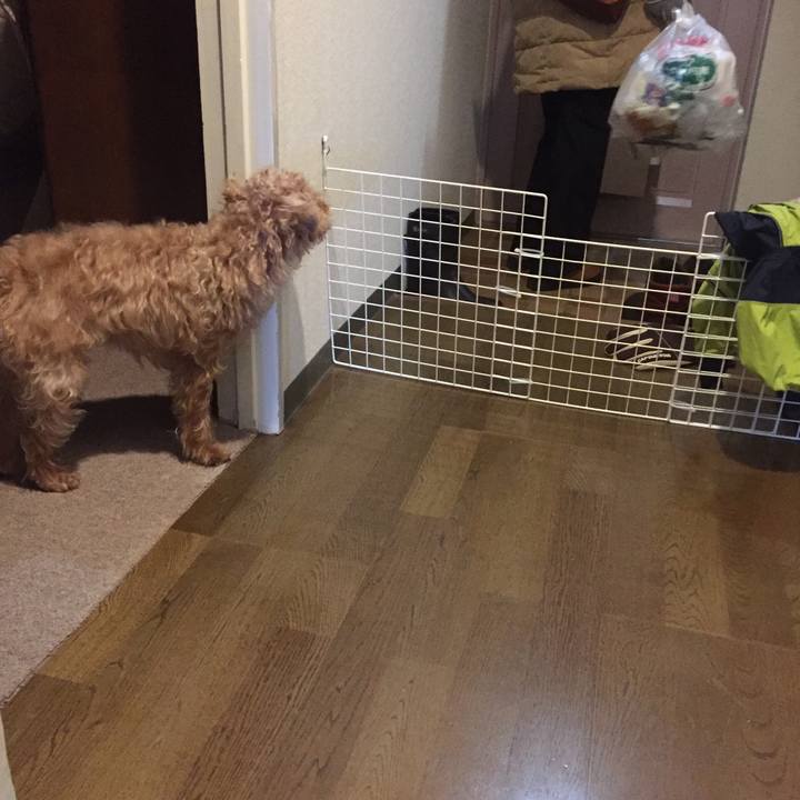 E71c421a 8587 46f3 9316 90d9bdc33bdb 1519684725131