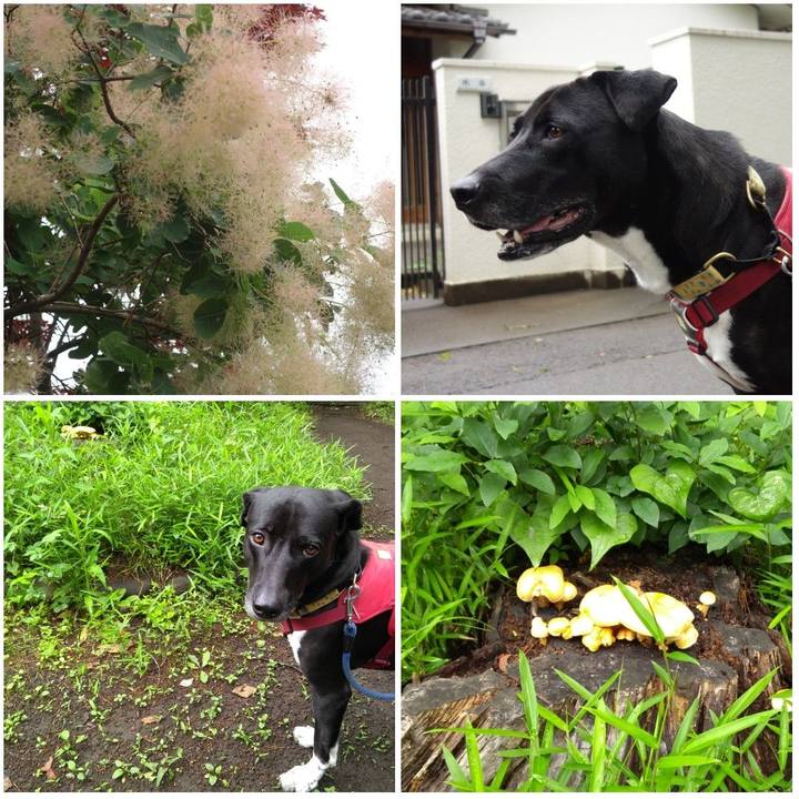 E71c8ce3 9c4b 48fd a538 ad64967931a3 1621645462366