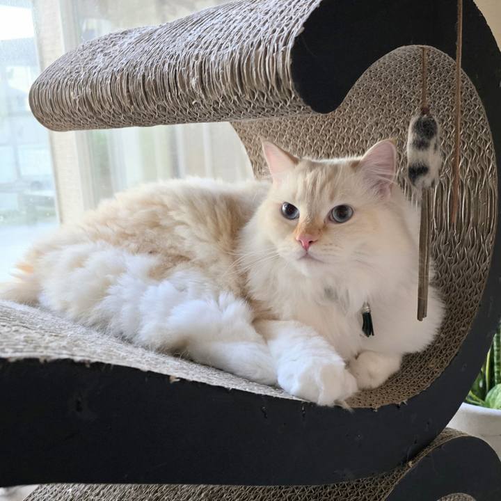 E71ca6e8 647e 4257 a141 3d73e061f768 1730332736466