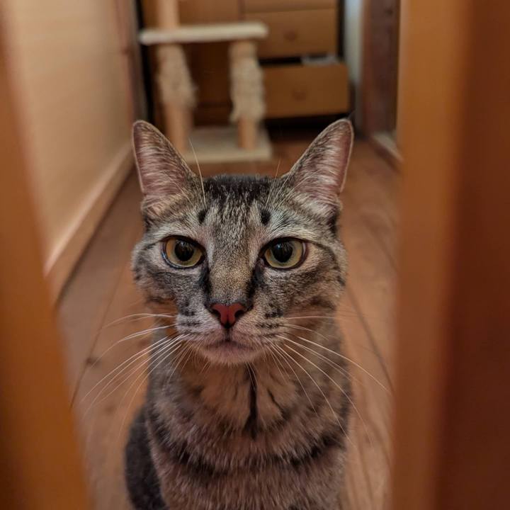 E71cb8e1 09b0 486d 9534 e02c621e5bb5 1756014282108