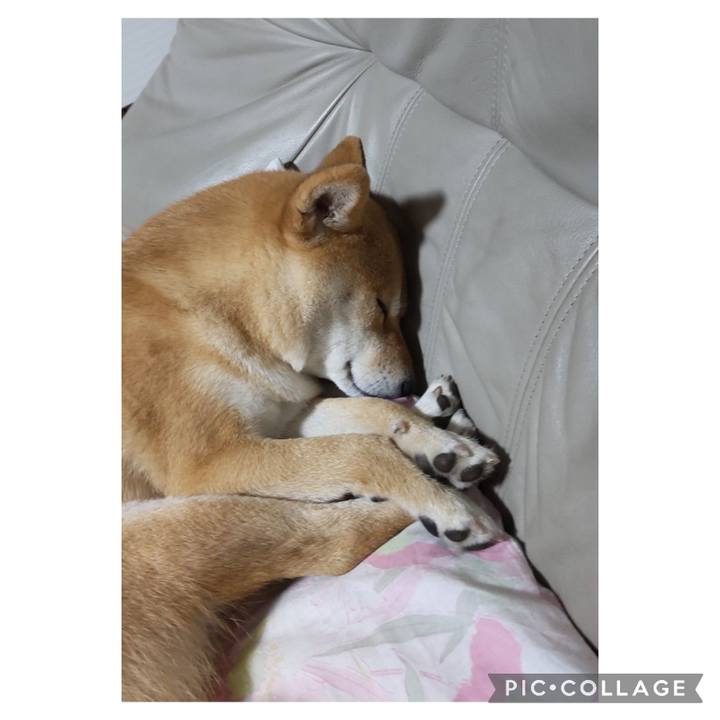 E71cc30b 550b 46ea b017 0a8942c90367 1678458863085