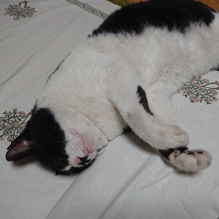 E71cfe8f 91d8 41f9 8e56 a5506cc423c1 1625825037022