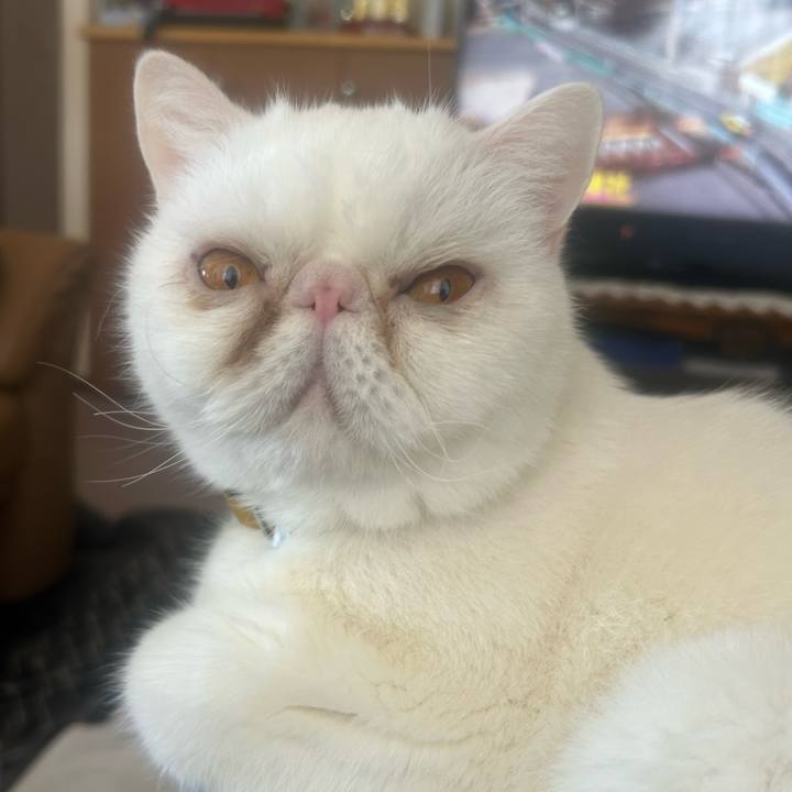 E71d0083 b78b 4e08 b7e1 fcdda2682ef0 1769925747083