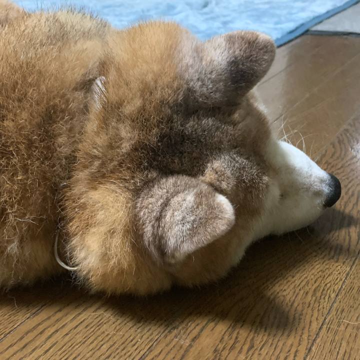 E71d2926 f2cc 4307 a87c f66a037bc9f0 1672399854751