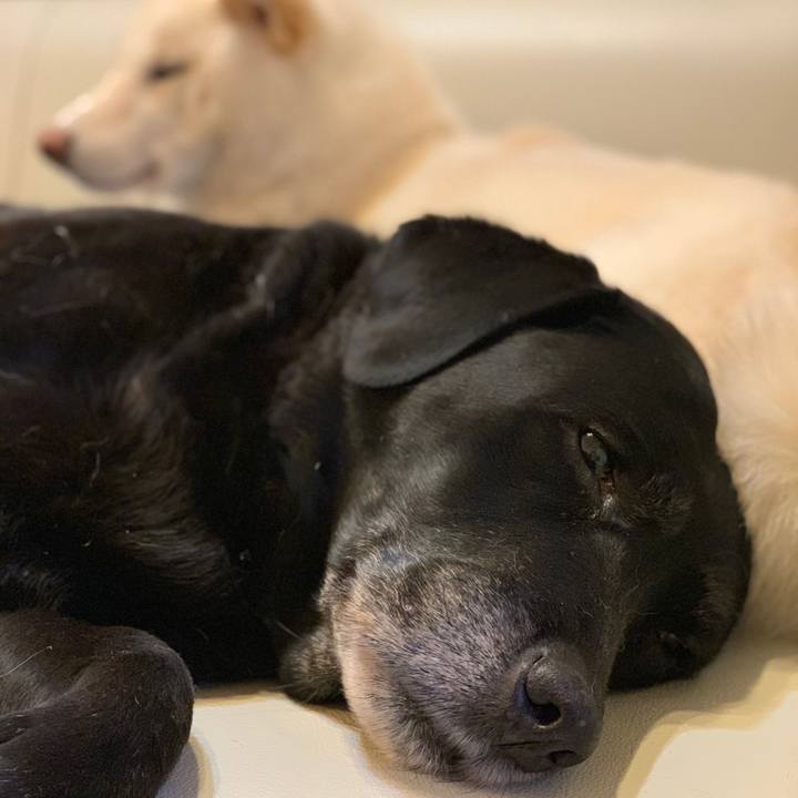 E71d655b 9669 4ace ae46 671258946573 1550313700763