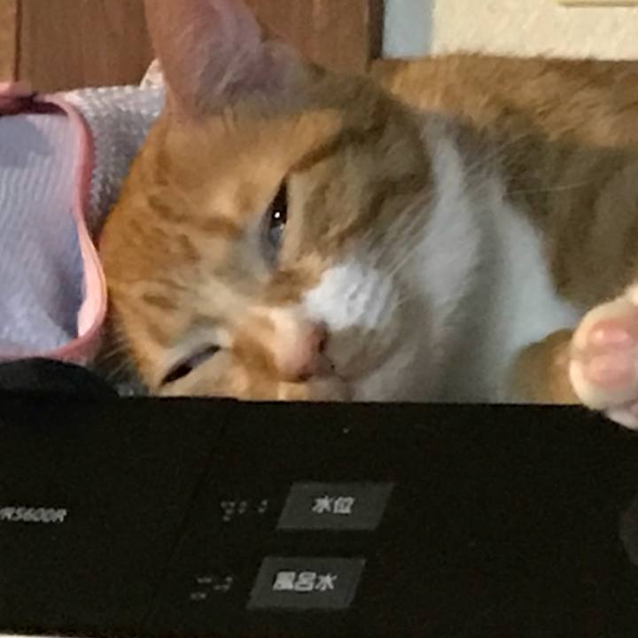 E71d691d fd11 4fc3 a356 ef768a5e8766 1533555679113