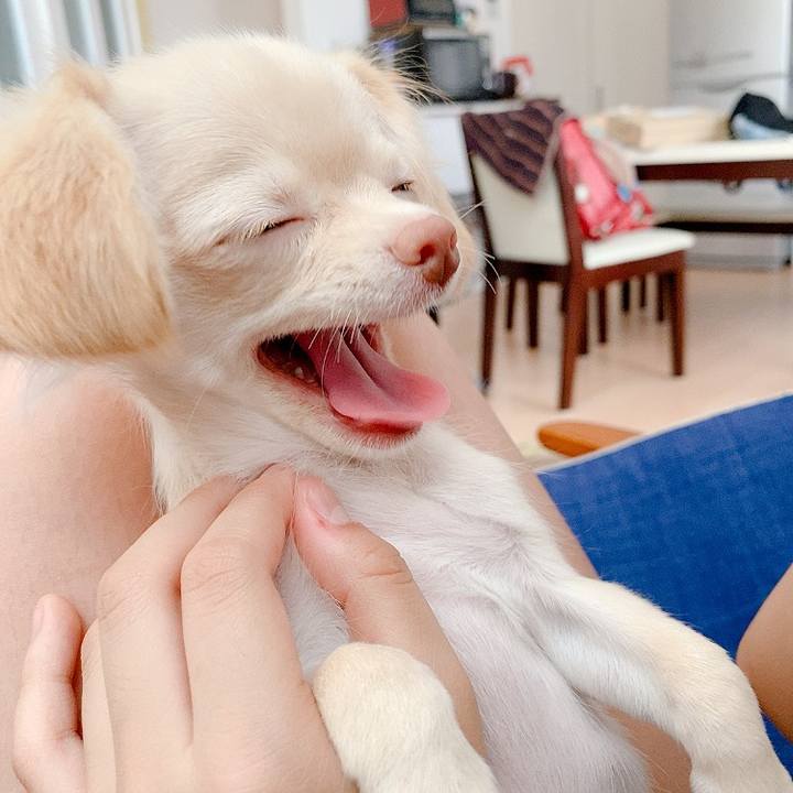 E71da837 1d65 4315 b17d cf4ecd83fe14 1592277951133