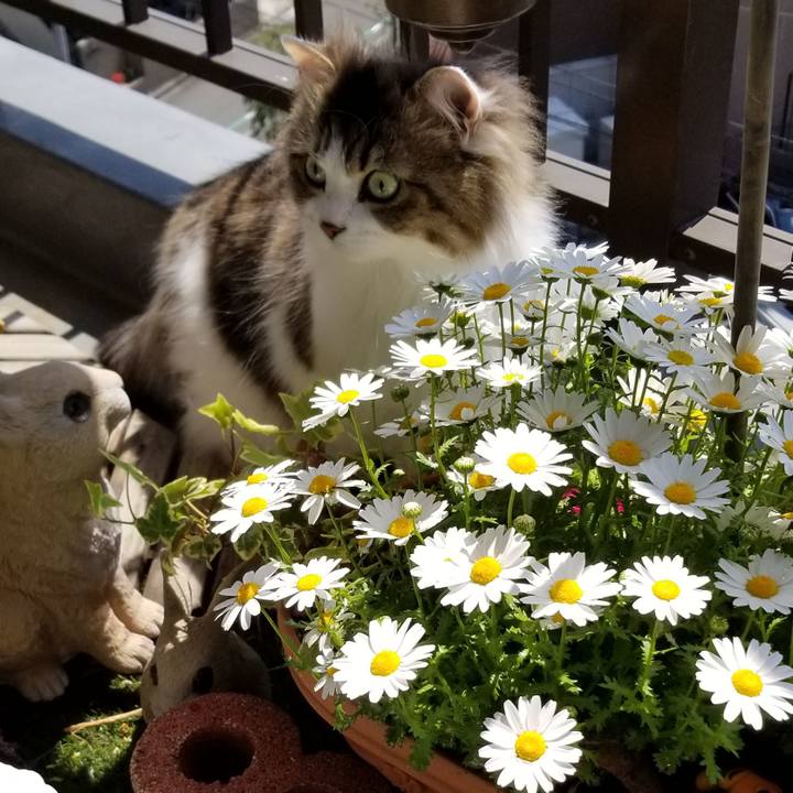 E71dcb7a b3cd 4efc a3df 6c44d5855967 1555591265050