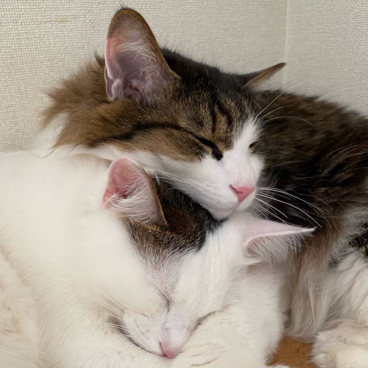 E71ddc71 ab57 4d28 a47c 69e5bf89c00e 1691630807611