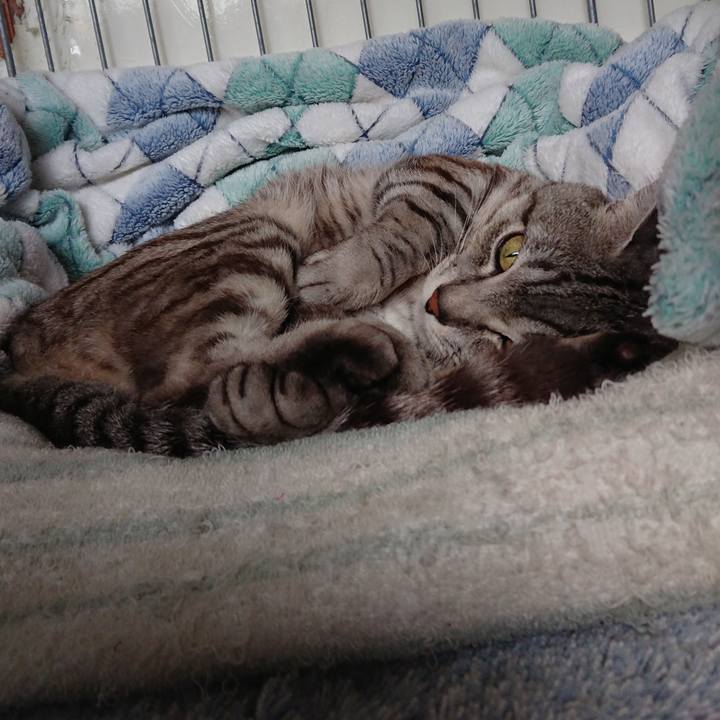 E71e43b1 f259 4a5b a695 682ea0c84645 1563144808141