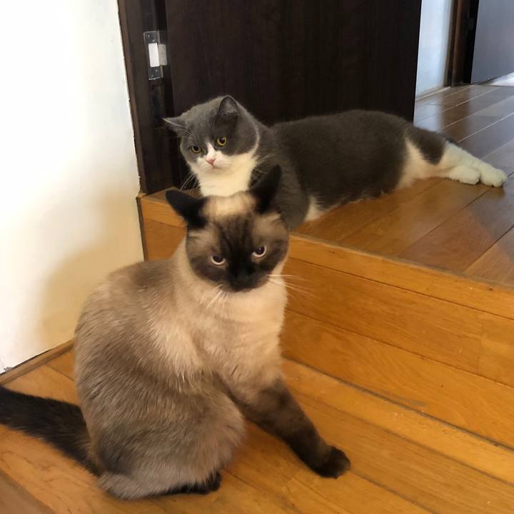 E71e6342 4c7d 4c6e b541 747551cdfe9c 1628990624852